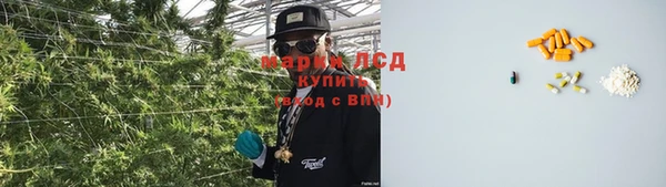 индика Зеленокумск