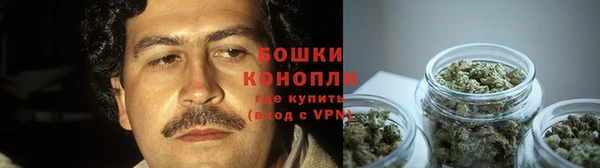 крисы Инсар