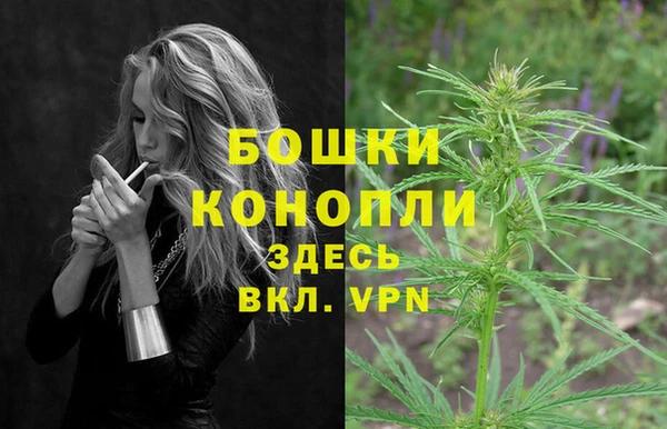 метадон Заводоуковск