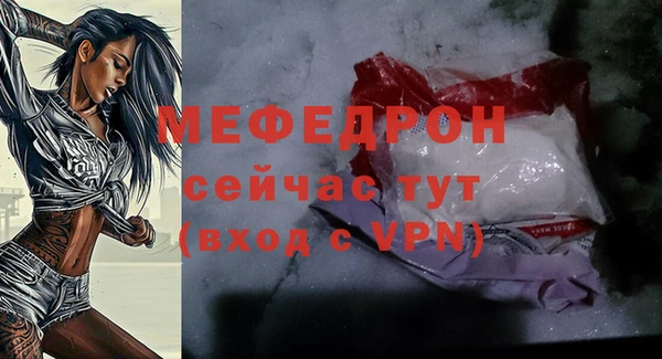 индика Зеленокумск