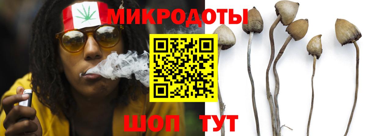 Псилоцибиновые грибы ЛСД Коммунар